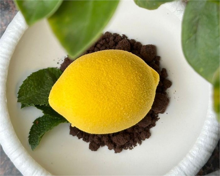 Десерт "Цитрон" бельгийский шоколад, пюре юдзу и нежный мусс 3010_D0415 - фото 6114